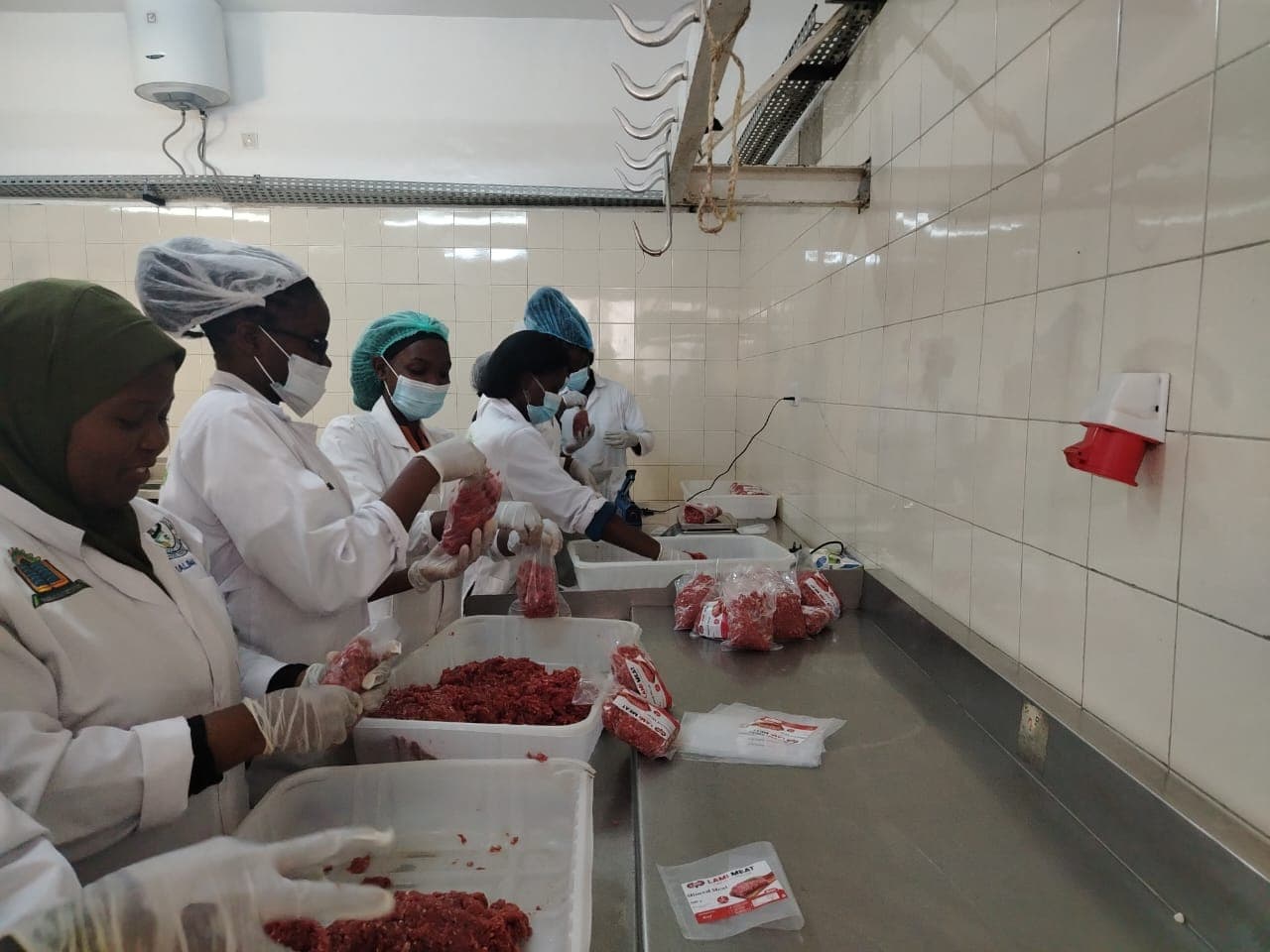 LAMI team at work