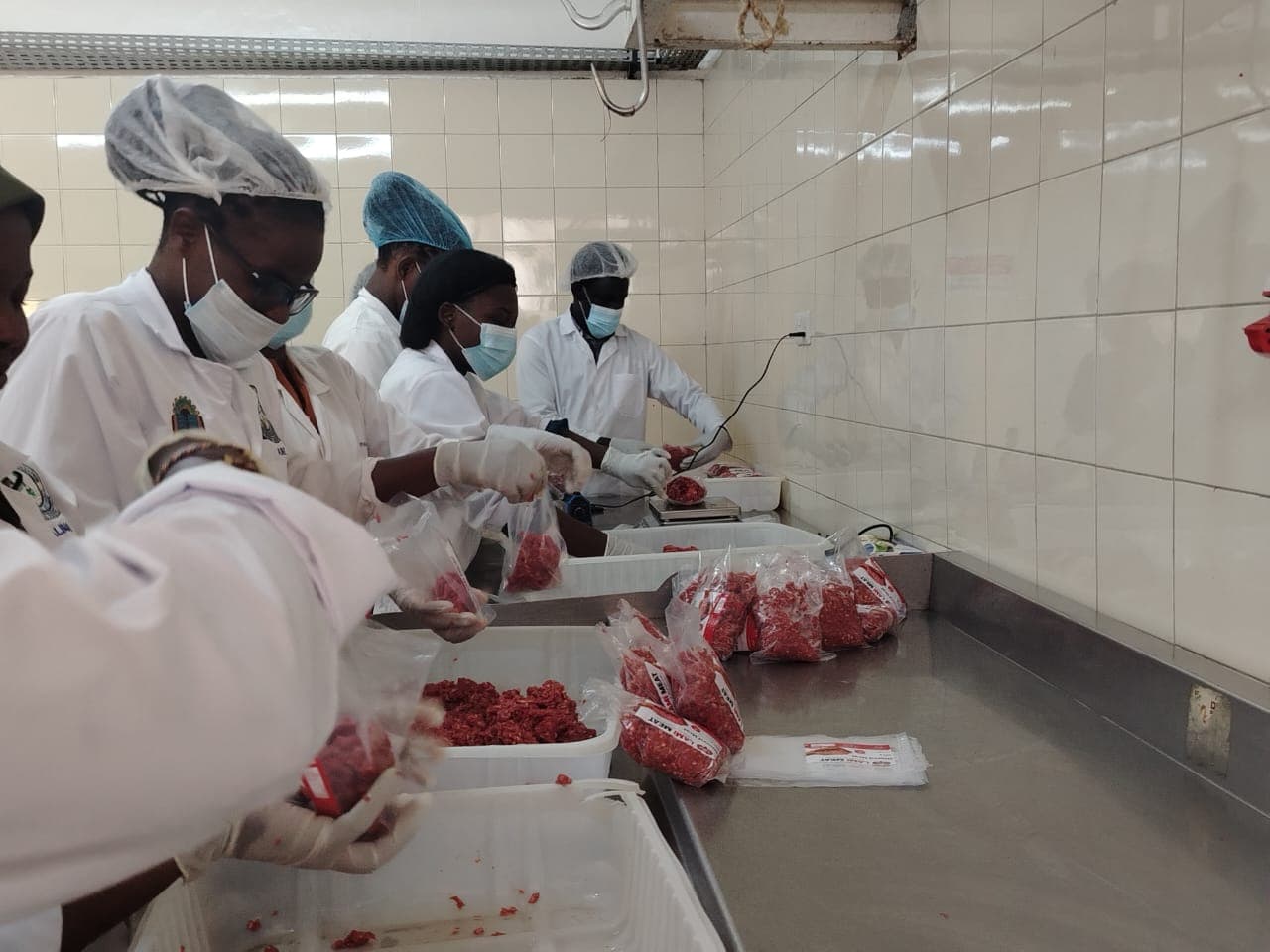 LAMI team at work