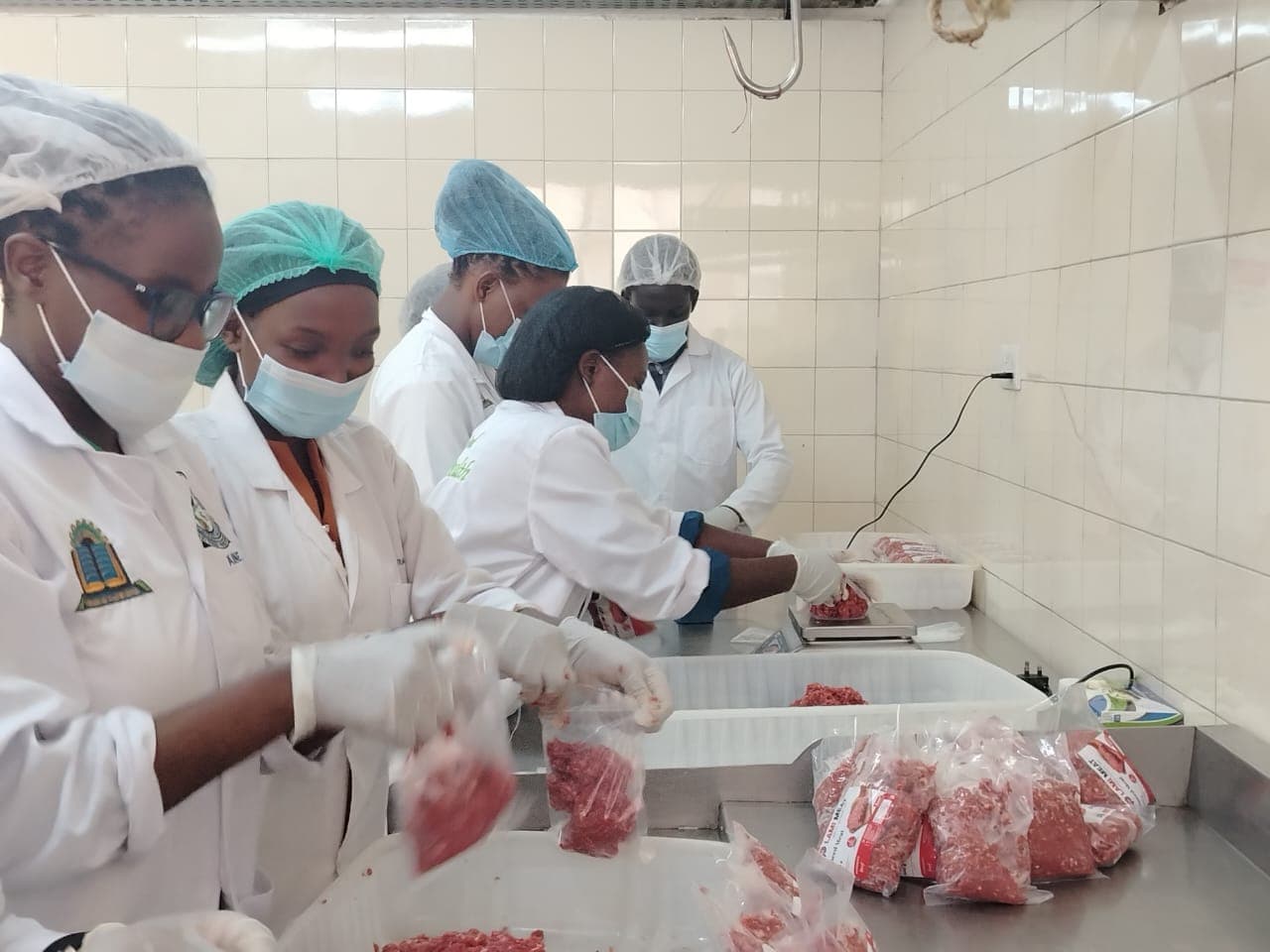 LAMI team at work