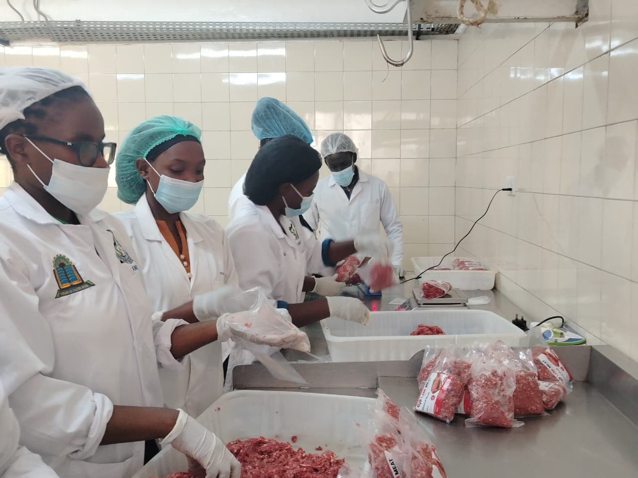 LAMI team at work